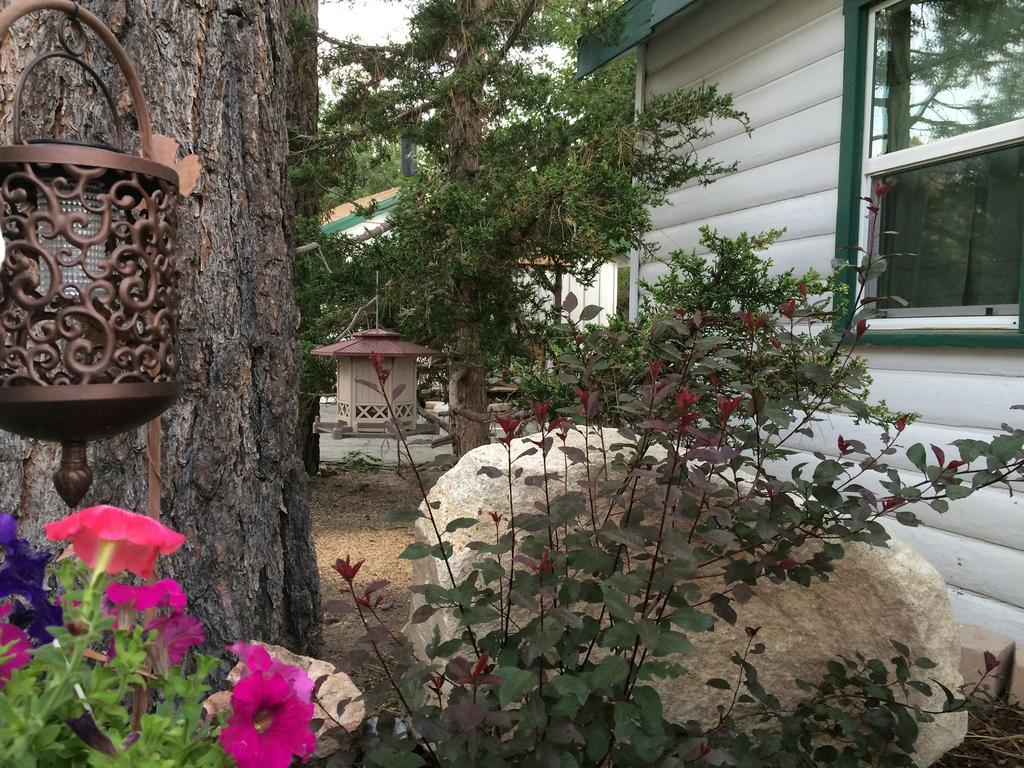 Hillcrest Suites & Cabins Big Bear Lake Eksteriør bilde